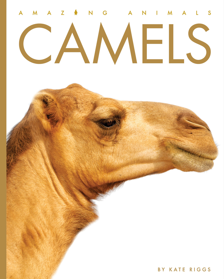 Amazing Animals - New Edition Series Hardcover Amazing Animals - New Edition: Camels