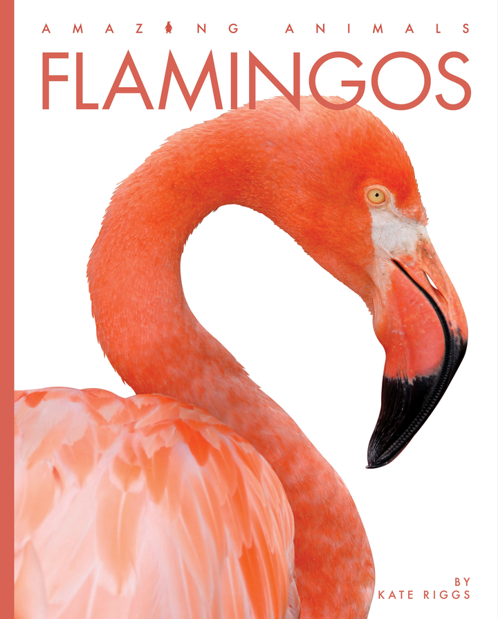 Amazing Animals - New Edition Series Hardcover Amazing Animals - New Edition: Flamingos