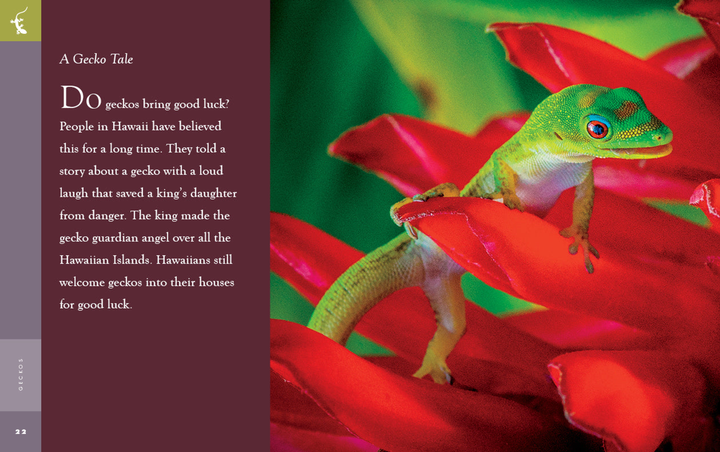 Amazing Animals - New Edition Series Hardcover Amazing Animals - New Edition: Geckos - 3