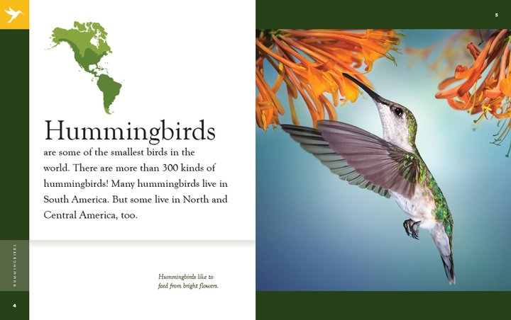 Amazing Animals - New Edition Series Hardcover Amazing Animals - New Edition: Hummingbirds - 2