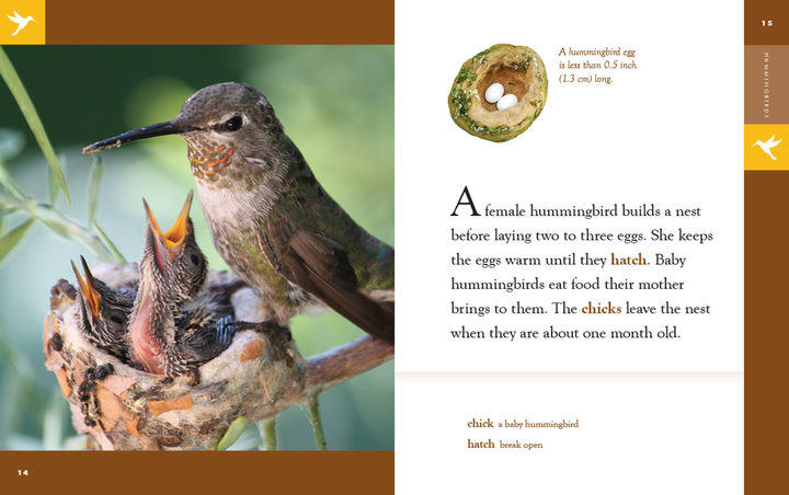 Amazing Animals - New Edition Series Hardcover Amazing Animals - New Edition: Hummingbirds - 3