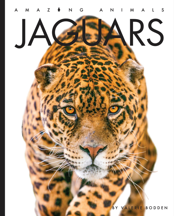 Amazing Animals - New Edition Series Hardcover Amazing Animals - New Edition: Jaguars