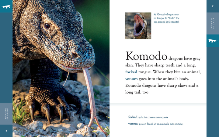 Amazing Animals - New Edition Series Hardcover Amazing Animals - New Edition: Komodo Dragons - 2