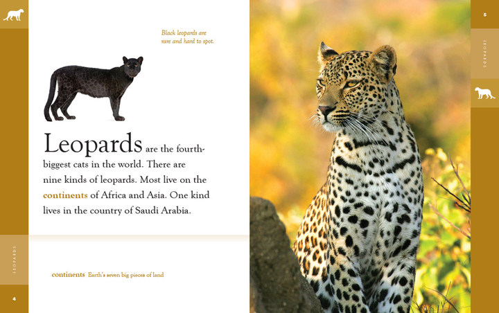 Amazing Animals - New Edition Series Hardcover Amazing Animals - New Edition: Leopards - 2