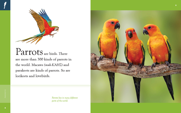 Amazing Animals - New Edition Series Hardcover Amazing Animals - New Edition: Parrots - 2