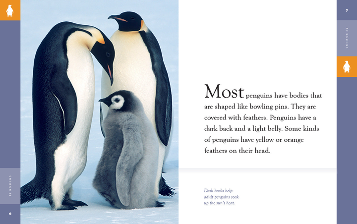 Amazing Animals - New Edition Series Hardcover Amazing Animals - New Edition: Penguins - 2