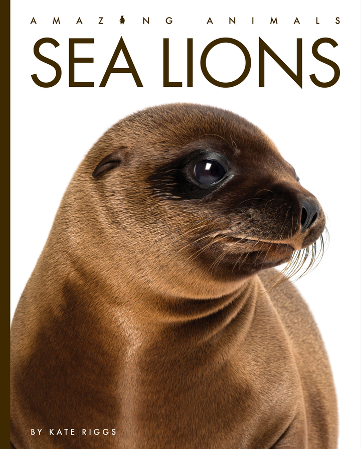 Amazing Animals - New Edition Series Hardcover Amazing Animals - New Edition: Sea Lions