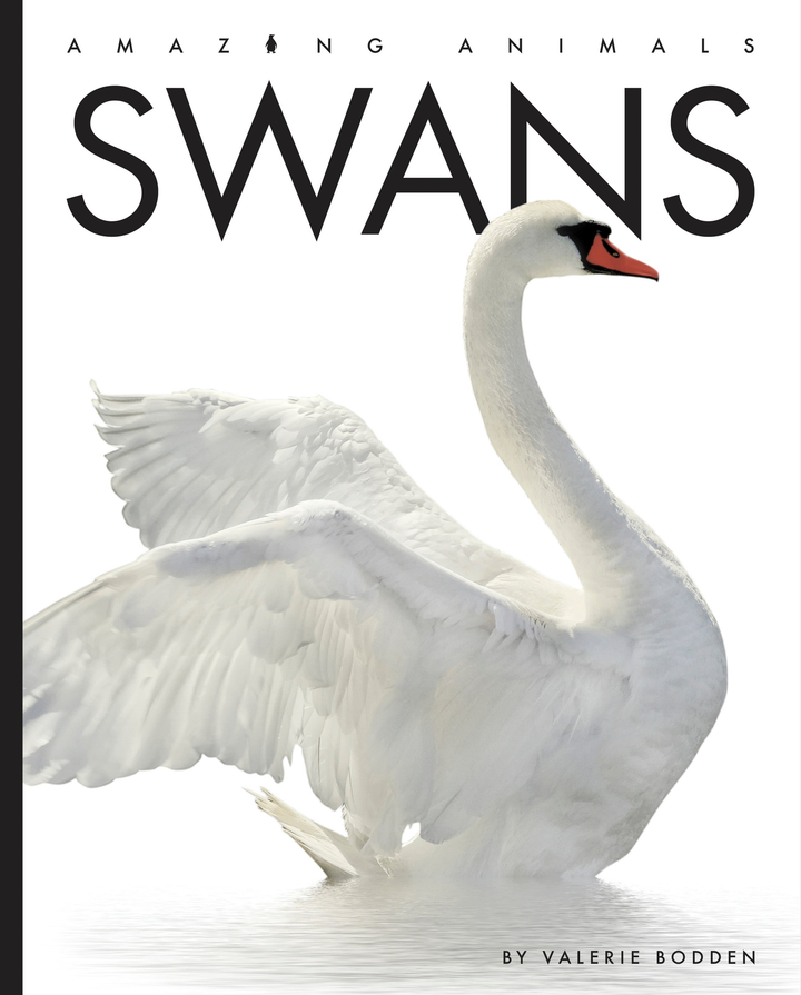 Amazing Animals - New Edition Series Hardcover Amazing Animals - New Edition: Swans