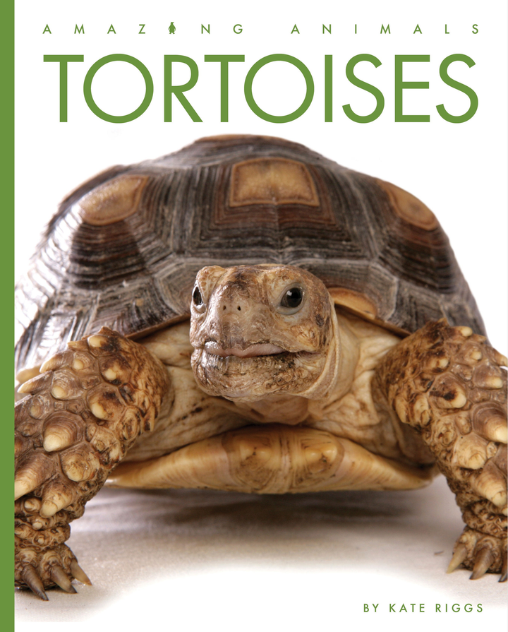 Amazing Animals - New Edition Series Hardcover Amazing Animals - New Edition: Tortoises