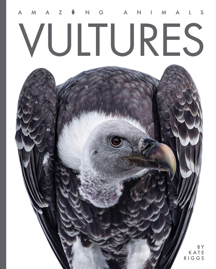 Amazing Animals - New Edition Series Hardcover Amazing Animals - New Edition: Vultures