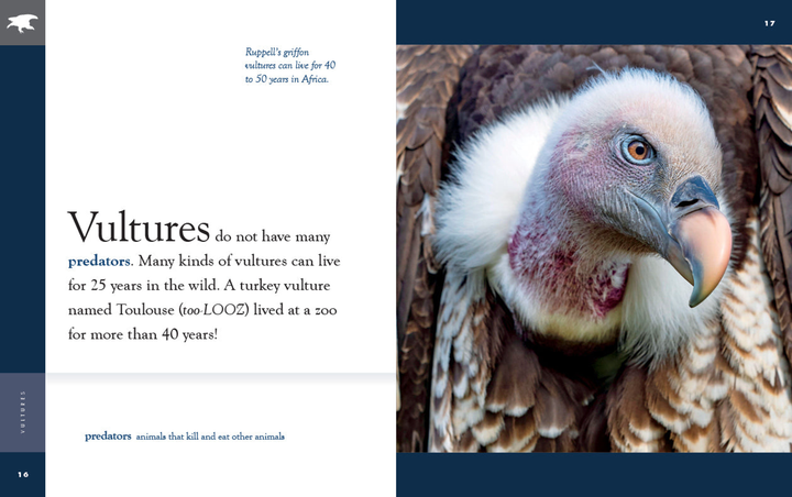 Amazing Animals - New Edition Series Hardcover Amazing Animals - New Edition: Vultures - 3