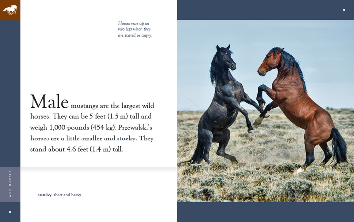 Amazing Animals - New Edition Series Hardcover Amazing Animals - New Edition: Wild Horses - 2