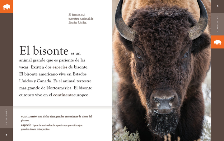 Planeta animal - New Edition Series Hardcover Planeta animal - New Edition: El bisonte - 2