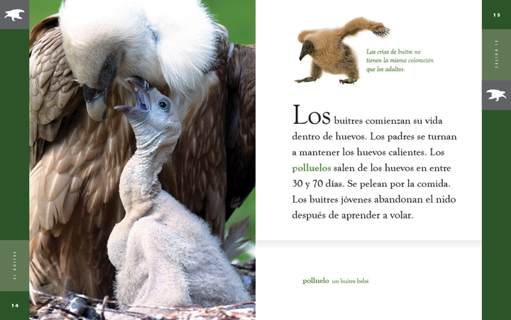 Planeta animal - New Edition Series Hardcover Planeta animal - New Edition: El buitre - 2