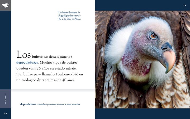 Planeta animal - New Edition Series Paperback Planeta animal - New Edition: El buitre - 3