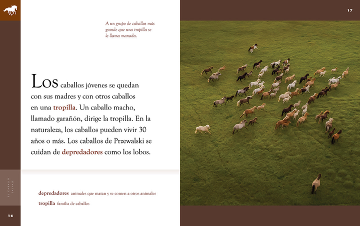 Planeta animal - New Edition Series Hardcover Planeta animal - New Edition: El caballo salvaje - 3