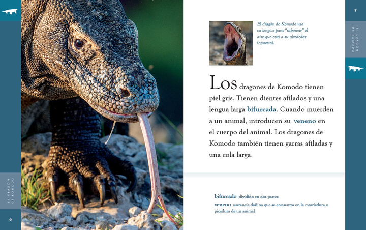 Planeta animal - New Edition Series Hardcover Planeta animal - New Edition: El dragn de Komodo - 2