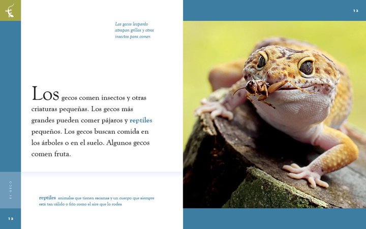 Planeta animal - New Edition Series Hardcover Planeta animal - New Edition: El geco - 2