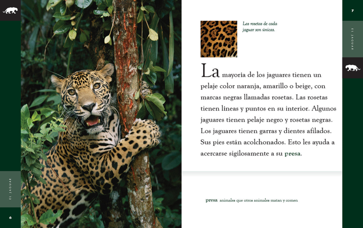 Planeta animal - New Edition Series Hardcover Planeta animal - New Edition: El jaguar - 2