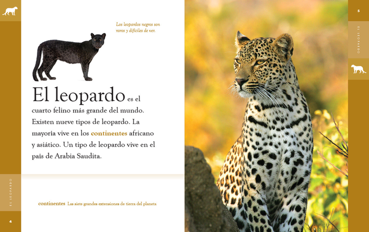 Planeta animal - New Edition Series Hardcover Planeta animal - New Edition: El leopardo - 2