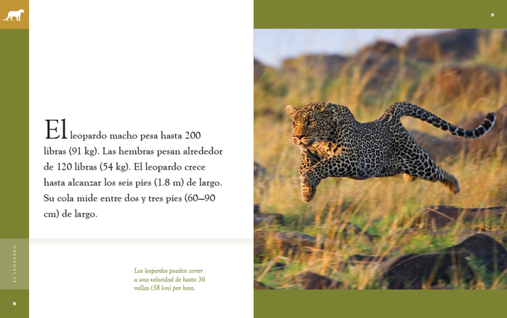 Planeta animal - New Edition Series Hardcover Planeta animal - New Edition: El leopardo - 3