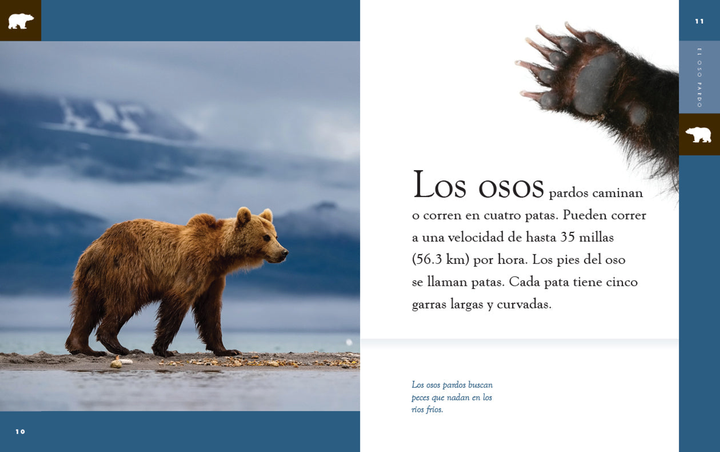 Planeta animal - New Edition Series Hardcover Planeta animal - New Edition: El oso pardo - 2