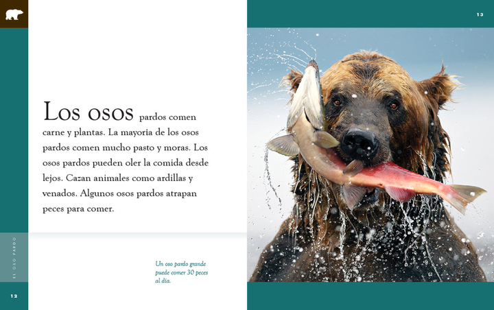 Planeta animal - New Edition Series Hardcover Planeta animal - New Edition: El oso pardo - 3