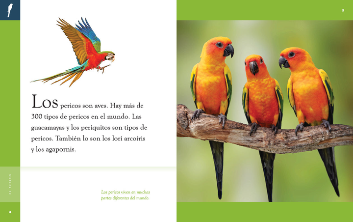 Planeta animal - New Edition Series Hardcover Planeta animal - New Edition: El perico - 2