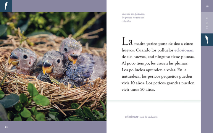 Planeta animal - New Edition Series Hardcover Planeta animal - New Edition: El perico - 3