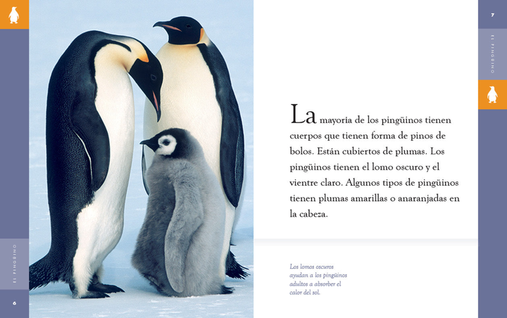 Planeta animal - New Edition Series Hardcover Planeta animal - New Edition: El pingino - 2