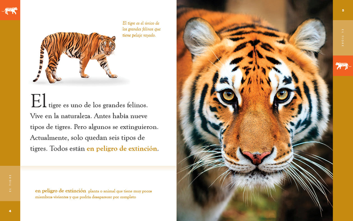 Planeta animal - New Edition Series Hardcover Planeta animal - New Edition: El tigre - 2