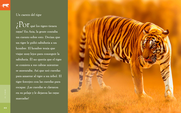 Planeta animal - New Edition Series Hardcover Planeta animal - New Edition: El tigre - 3