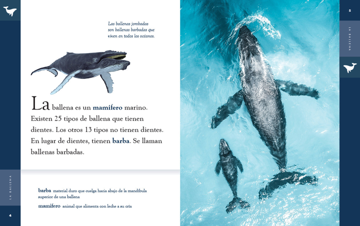 Planeta animal - New Edition Series Hardcover Planeta animal - New Edition: La ballena - 2