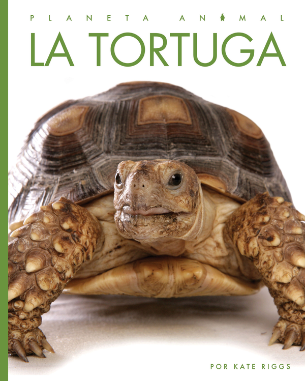 Planeta animal - New Edition Series Hardcover Planeta animal - New Edition: La tortuga