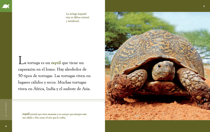 Planeta animal - New Edition Series Hardcover Planeta animal - New Edition: La tortuga - 2