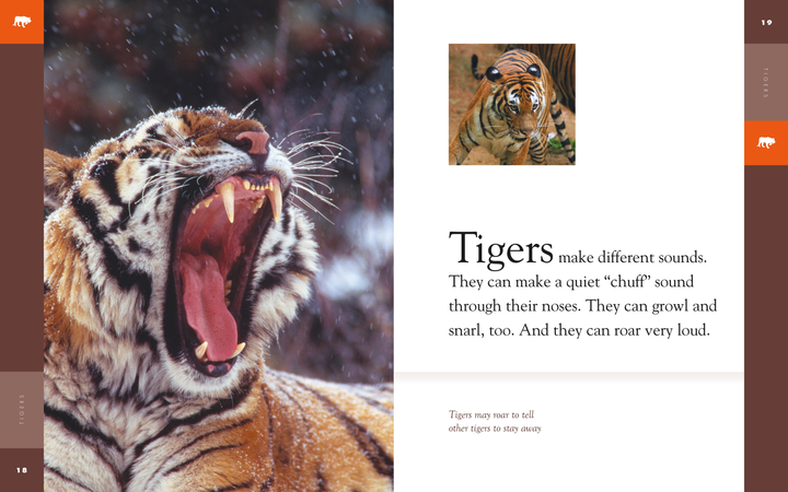 Amazing Animals - Classic Edition Series Paperback Amazing Animals - Classic Edition: Tigers - 3