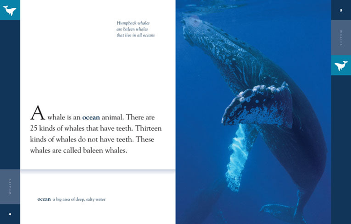 Amazing Animals - Classic Edition Series Paperback Amazing Animals - Classic Edition: Whales - 2