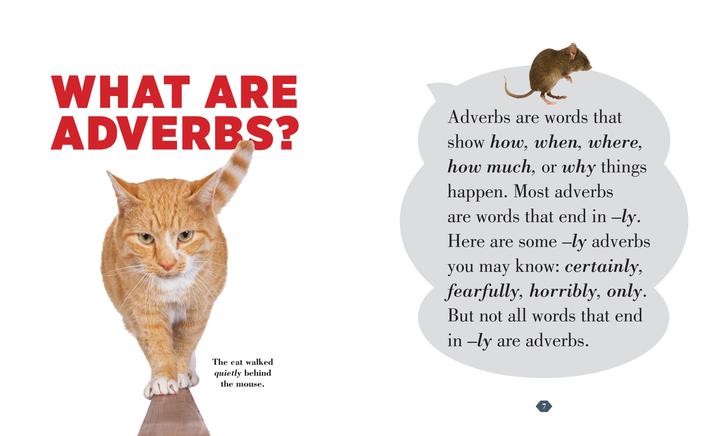 Grammar Basics Series Hardcover Grammar Basics: Adverbs - 2