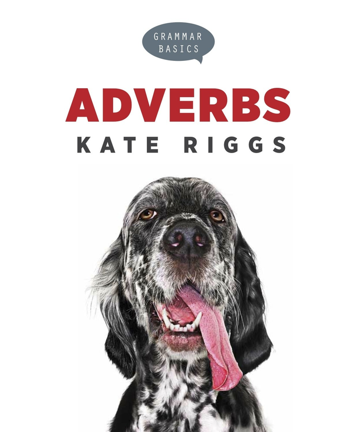 Grammar Basics Series Paperback Grammar Basics: Adverbs