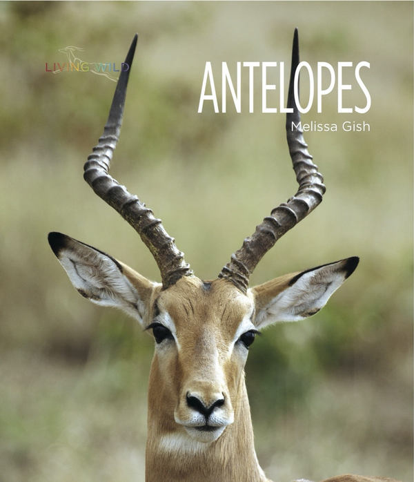 Living Wild Series Hardcover Living Wild: Antelopes