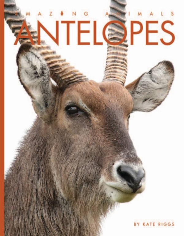 Amazing Animals - Classic Edition Series Hardcover Amazing Animals - Classic Edition: Antelopes