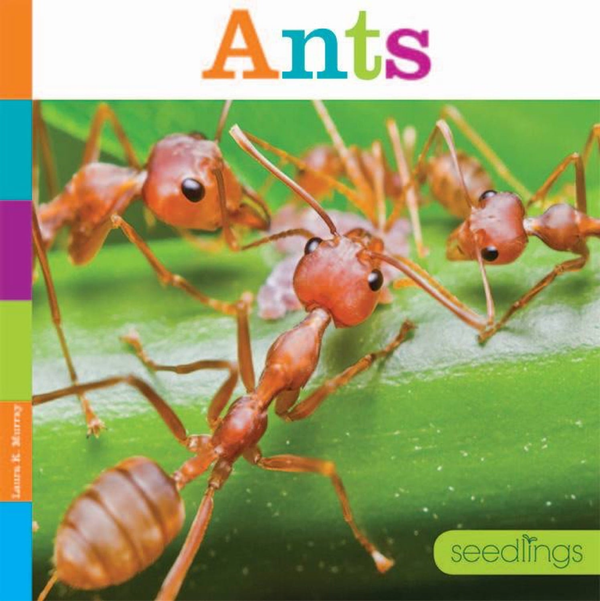 Seedlings Series Hardcover Seedlings: Ants