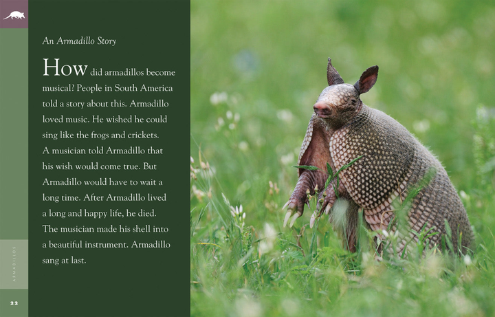 Amazing Animals - Classic Edition Series Hardcover Amazing Animals - Classic Edition: Armadillos - 2