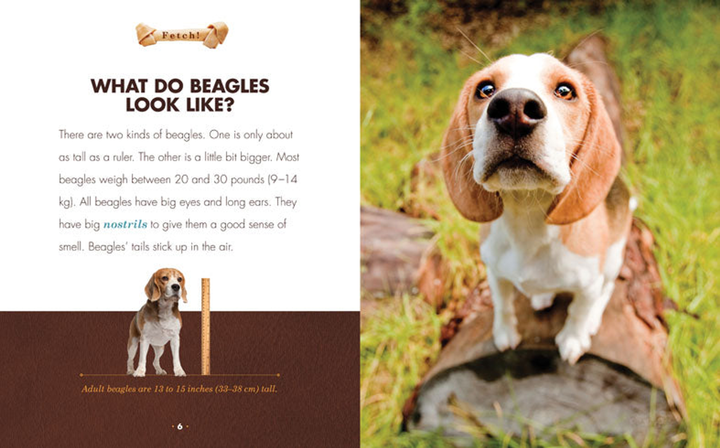 Fetch! Series Hardcover Fetch!: Beagles - 2