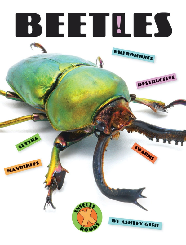 X-Books Series Hardcover X-Books: Insects: Beetles