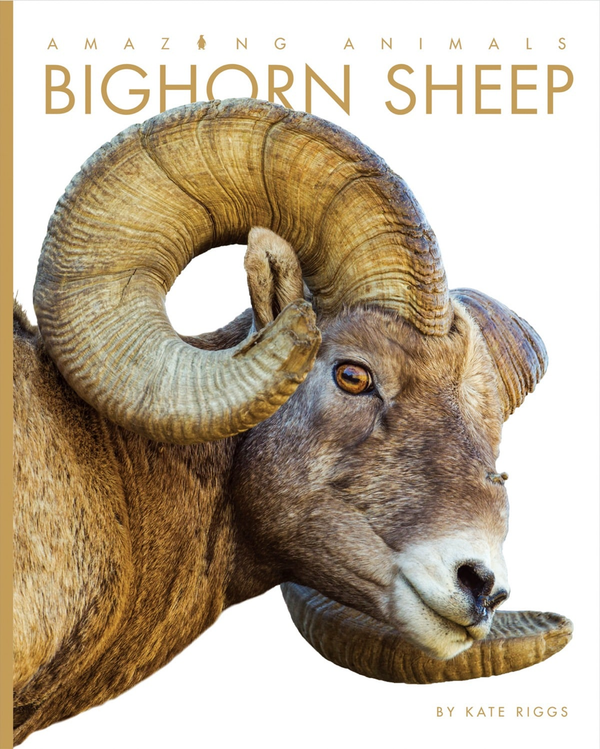 Amazing Animals - Classic Edition Series Hardcover Amazing Animals - Classic Edition: Bighorn Sheep