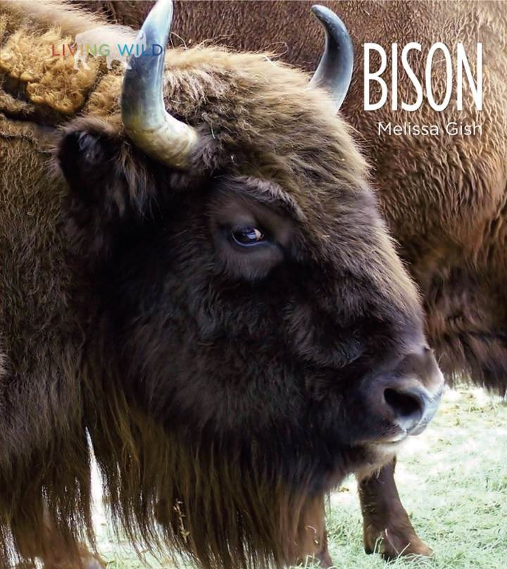 Living Wild Series Paperback Living Wild: Bison