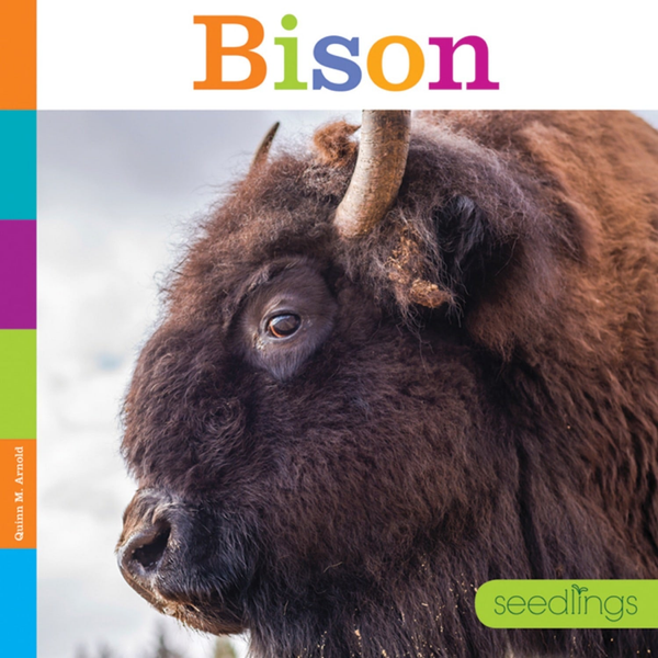 Seedlings Series Hardcover Seedlings: Bison