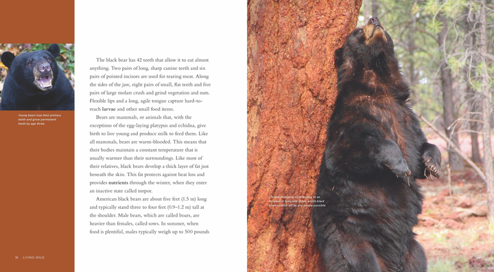 Living Wild Series Hardcover Living Wild: Black Bears - 2