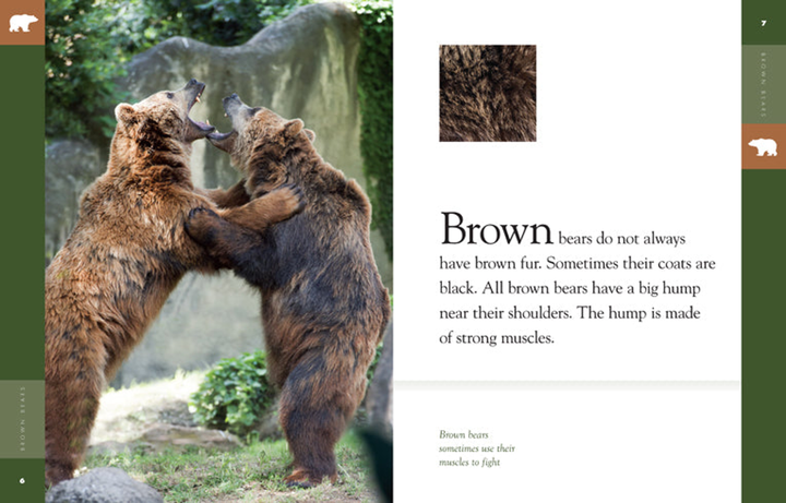 Amazing Animals - Classic Edition Series Hardcover Amazing Animals - Classic Edition: Brown Bears - 3